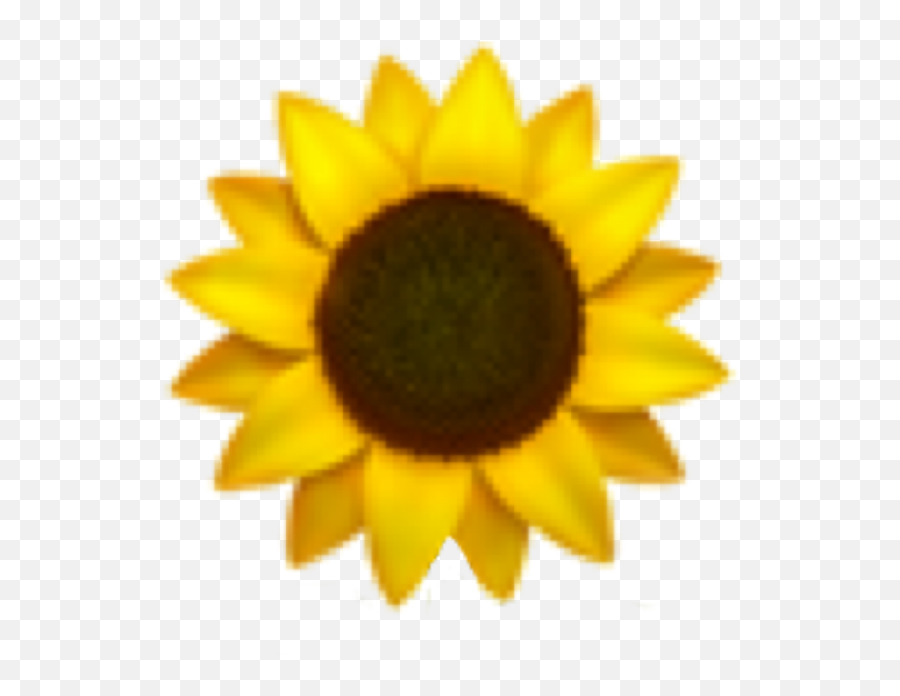 Sunflower Emoji Freetoedit - Sunflower Emoji,Sunflower Emoji