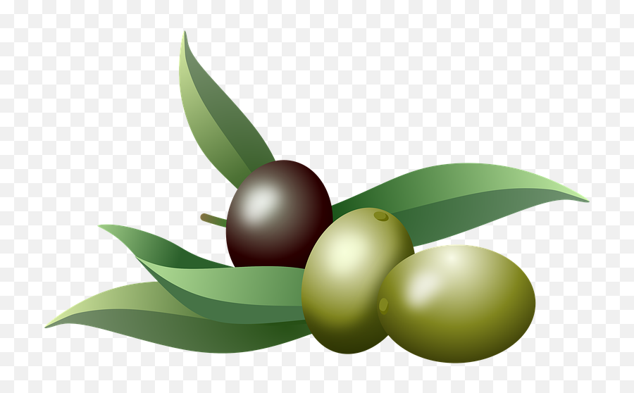 Olives Oil Fruits Olive - Olive Emoji,Olive Branch Emoji