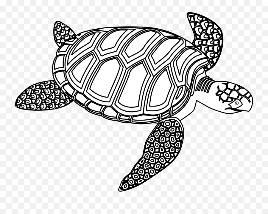Line Art Sea Turtle Clipart Black And White - Turtle Black And White Emoji,Google Turtle Emoji