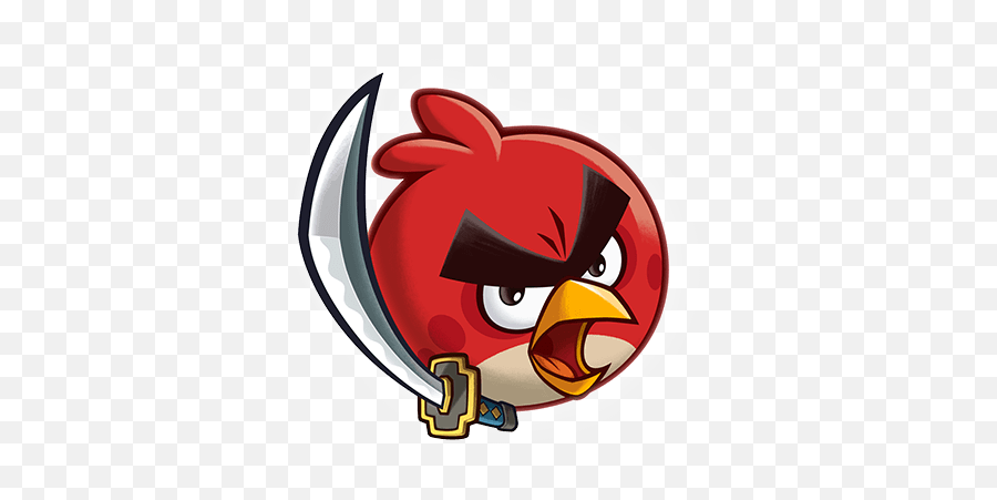 Angry birds fight