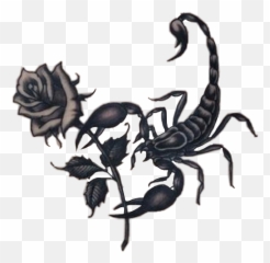 Popular And Trending Scorpion Stickers - Tattoo De Escorpião Feminina Emoji,Scorpion Emoji