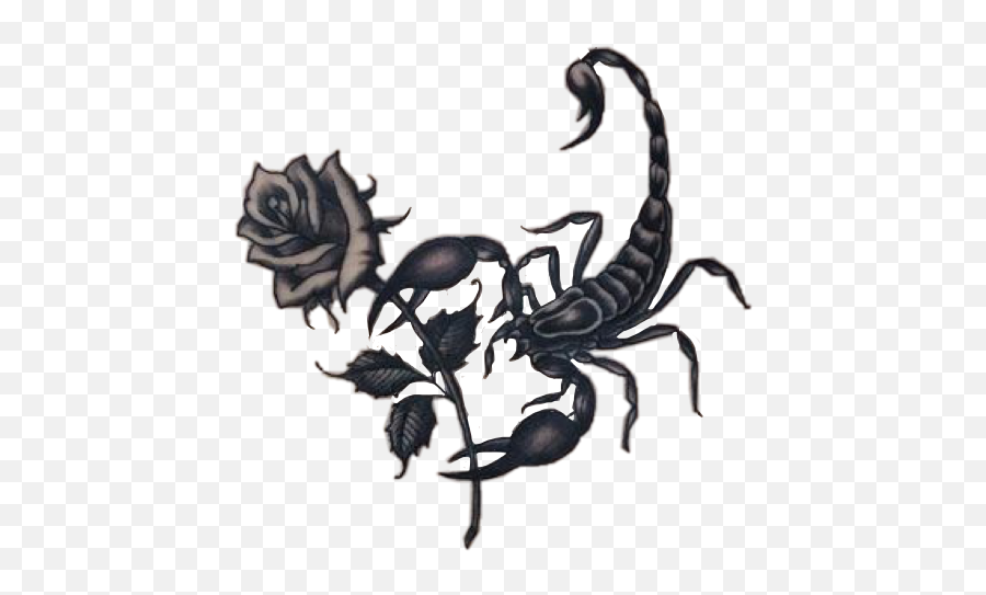 Popular And Trending Scorpion Stickers - Tattoo De Escorpião Feminina Emoji,Scorpion Emoji