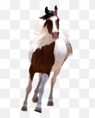 Horse Png And Vectors For Free Download - Horse Png Emoji,Man And Horse Emoji