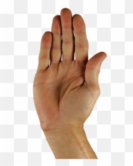 Gambar Bahasa Isyarat Tangan Gratis - Stopping Hand Png Emoji