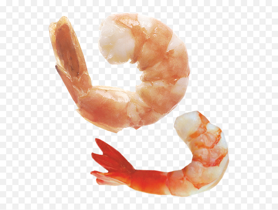Shrimp Psd Official Psds - Shrimp Transparent Background Emoji,Shrimp Emoji