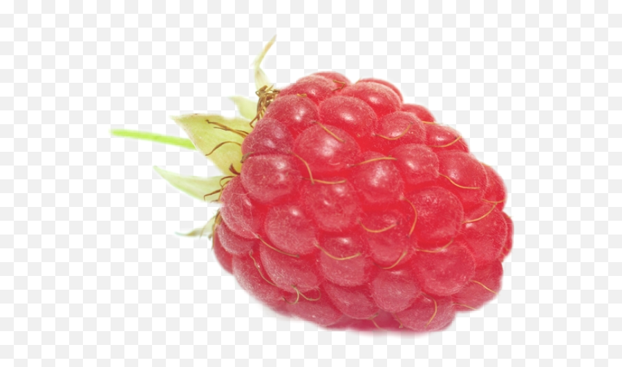 Raspberry - Sticker By Yaishadelange Seedless Fruit Emoji,Raspberry Emoji