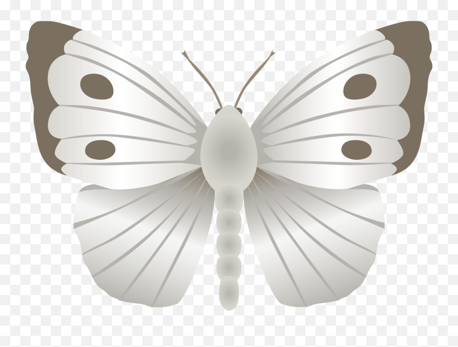 Science A Formula For Success Agmoji Cool Science - Large White Emoji,Butterfly Emoji Png
