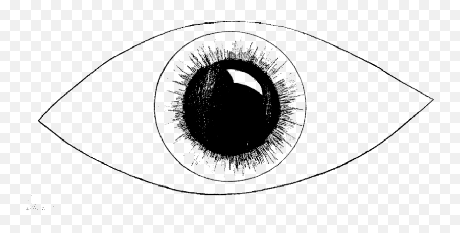 Gif Drawing Eye Picture - Circle Emoji,Shifty Eye Emoji