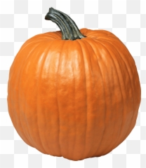 Pumpkin Png - Pumpkin Png Transparent Emoji,Pumpkin Pie Emoji