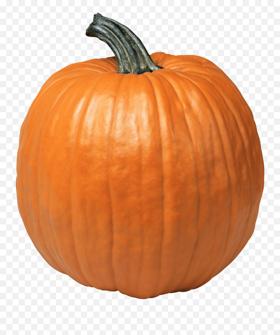 Pumpkin Png - Pumpkin Png Transparent Emoji,Pumpkin Pie Emoji