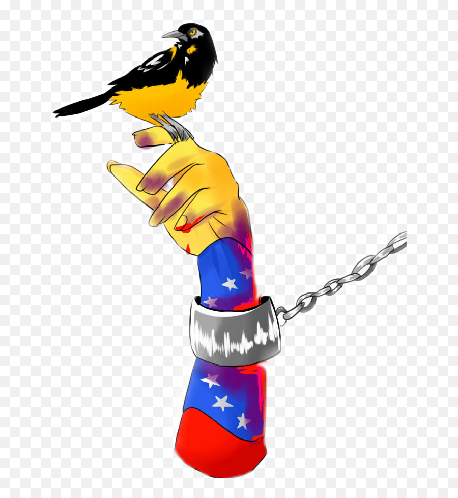 Venezuela Libertad - Eurasian Golden Oriole Emoji,Oriole Emoji