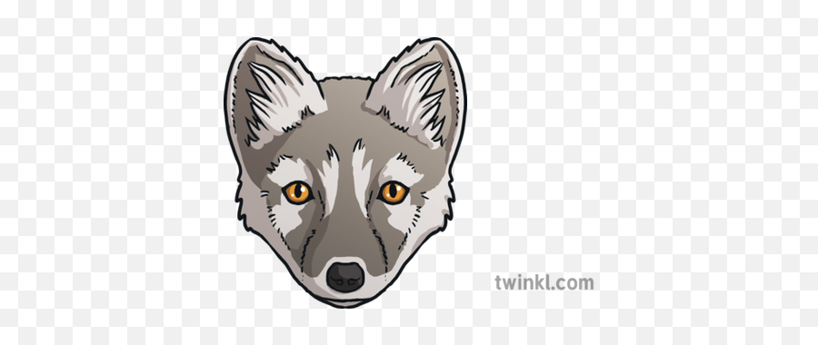 Arctic Fox Emoji Twinkl Newsroom Ks2 Illustration - Canadian Eskimo Dog,Fox Emoji
