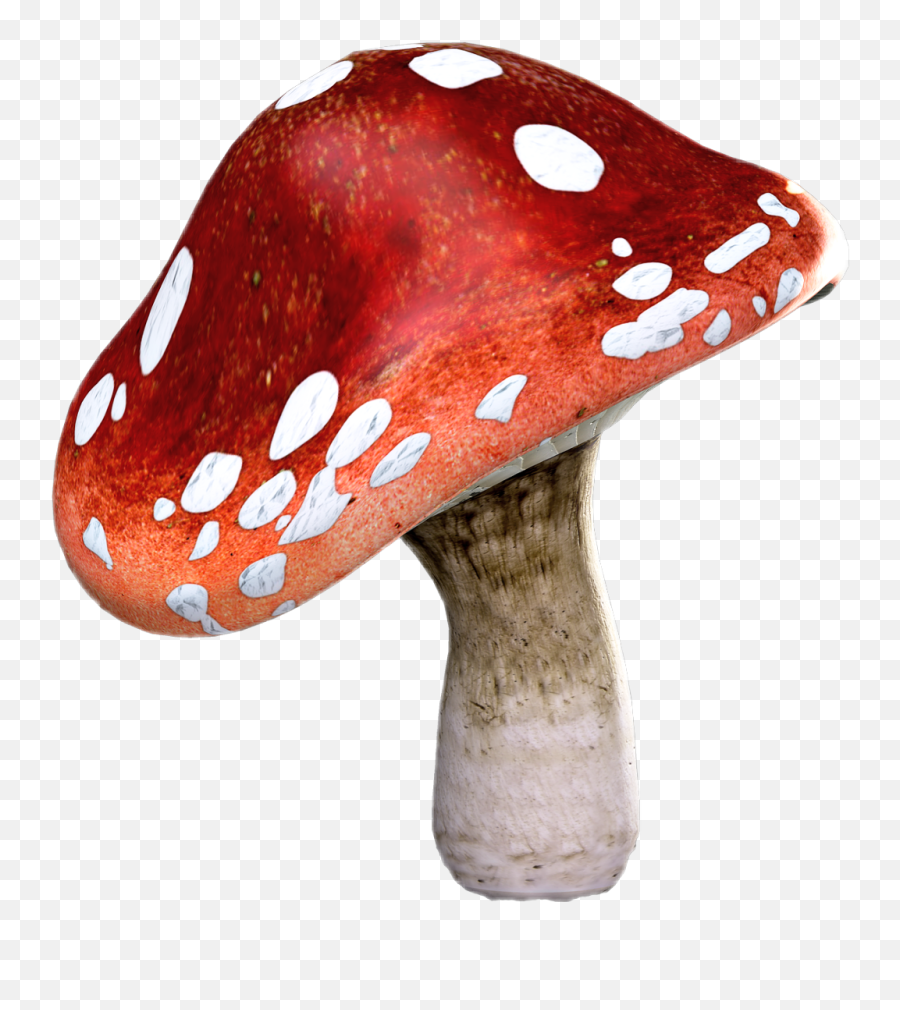 Toadstool Mushroom Freetoedit Remixit - Shiitake Emoji,Emoji Mushroom