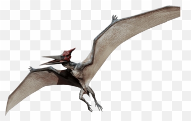 Ftestickers Dinosaur Flyingdinosaur - Jurassic Park Pterodactyl Png Emoji,Pterodactyl Emoji