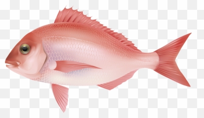 Download Fish Png 7 Hq Image - Pink Salt Water Emoji