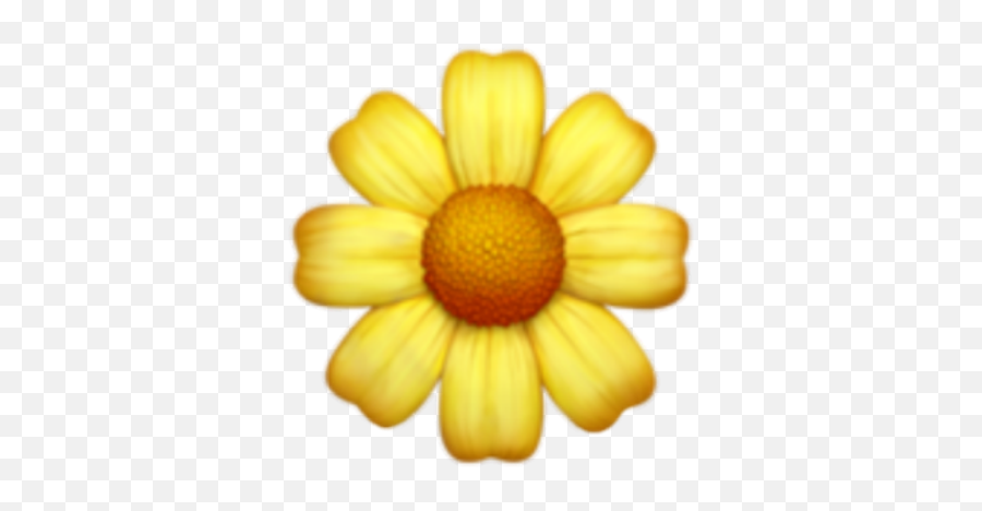 Lucymy - Yellow Flower Emoji Png,Sunflower Emoji