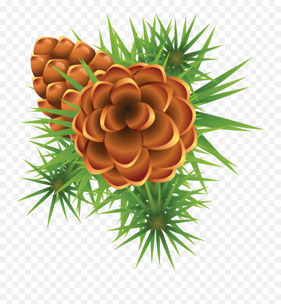Fir Tree Jpg Royalty Free Png Files - Mistletoe And Holly Emoji,Pinecone Emoji