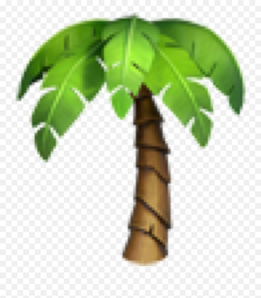 Emoji Palmtree Palm Beach Tree Emojis Freetoedit - Transparent Background Palm Tree Emoji,Palm Tree Emoji