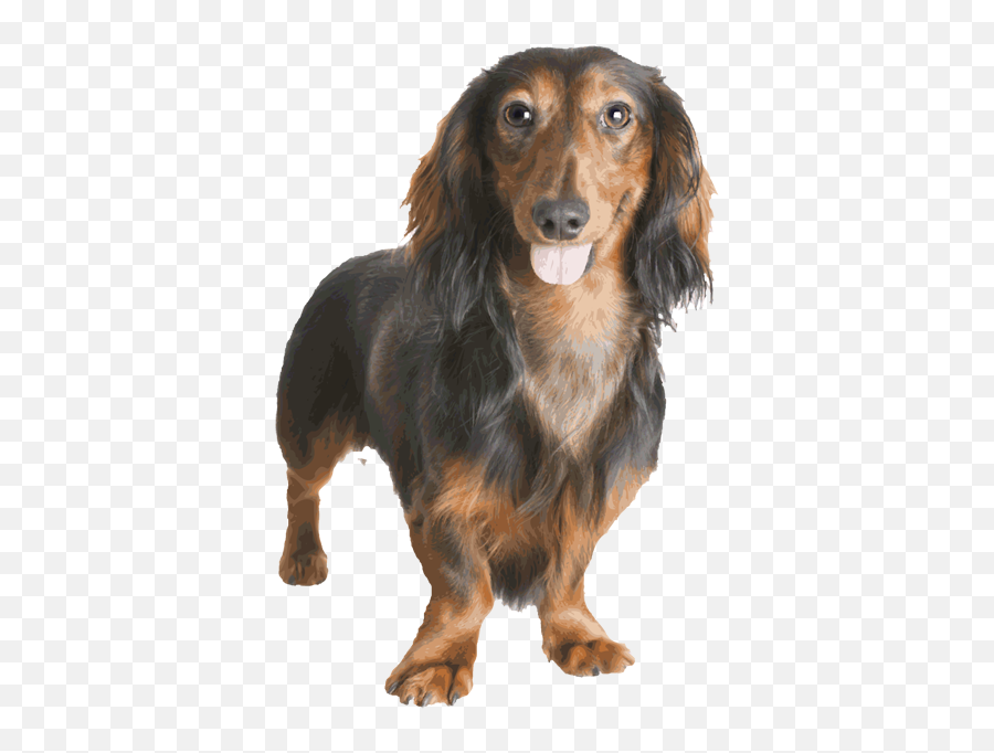 Dachshund Png - Dachshund Emoji,Barking Dog Emoji