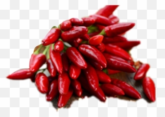 Trending Chili Stickers - Woskie Papryczki Emoji