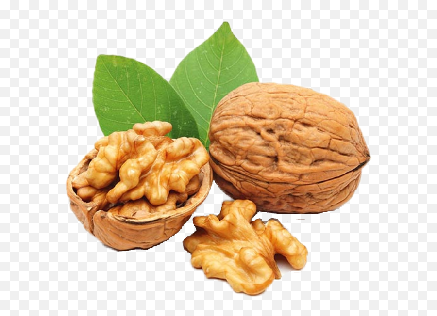 Sticker Nut Nuts - Nut Transparent Background Emoji,Nuts Emoji