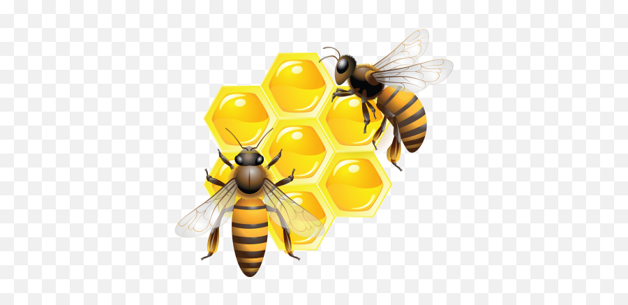 Honey Pot Emoji Icon - Clip Art Bee Honey,Wasp Emoji