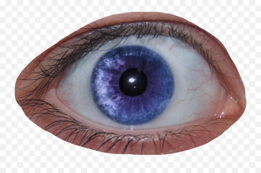 Eye Creepy Cool Purple Eyeball Pupil Look Eyes Emoji,Look Eyes Emoji
