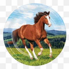 Horse and Pony Balloon Agencies - Beautiful Wild Background Emoji