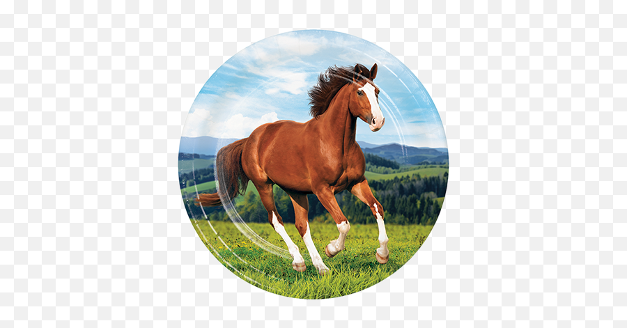 Horse And Pony Balloon Agencies - Beautiful Wild Horse Background Emoji,Pony Emoticons