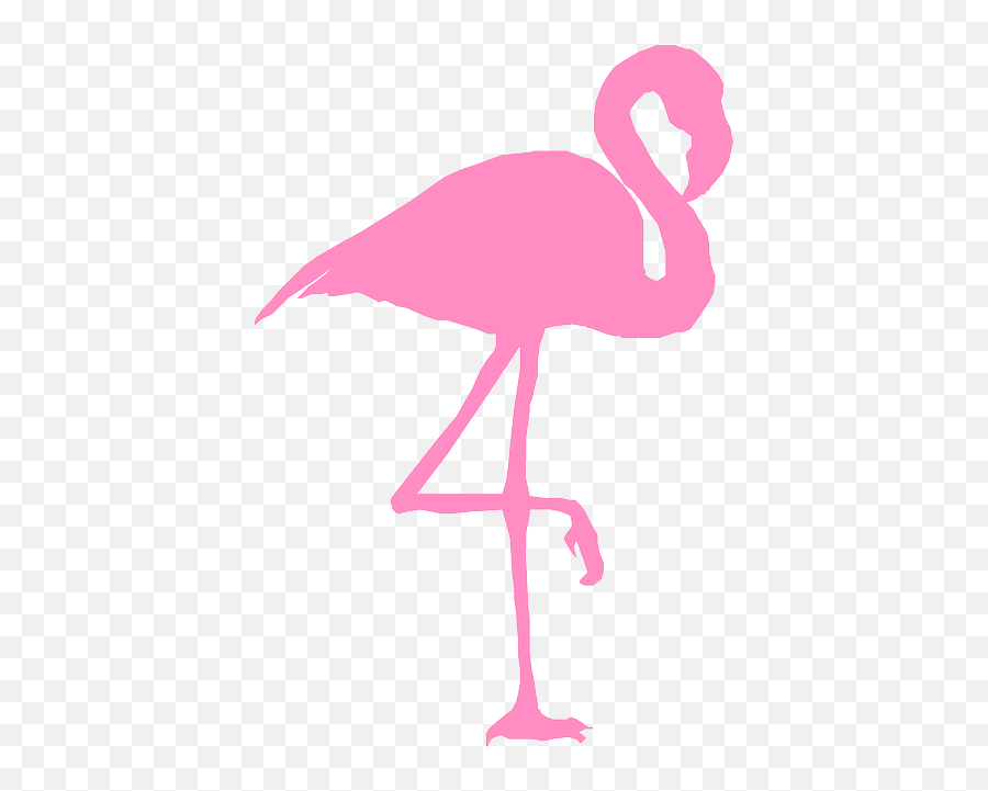 Pixabay - Cartoon Flamingo Png Emoji,Pink Flamingo Emoji