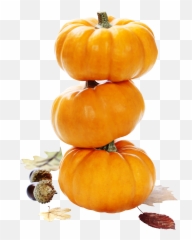 Pumpkin Png - Bbr Real Estate Relocation Ag Emoji,Pumpkin Pie Emoji