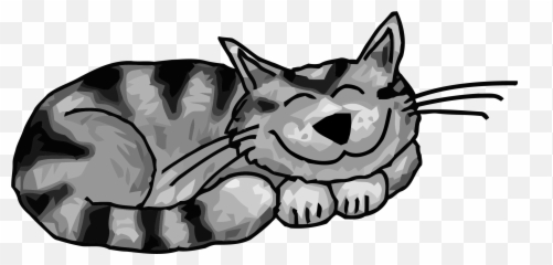 Cat Free Library Sleeping Png Files - My Rules Emoji