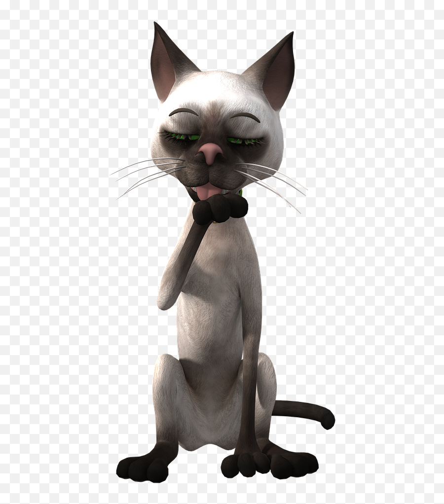 Toon Cat Toon Cat Funny Pose - Cat 3d Png Emoji,Cat Boot Emoji
