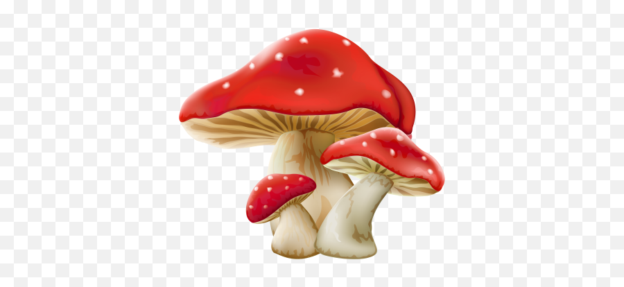 Mushroom Png And Vectors For Free - Transparent Background Mushroom Clipart Emoji,Emoji Mushroom