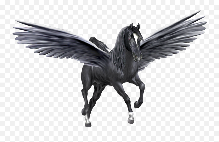 Pegasus Gray Transparent Png Clipart - Pegasus Png Transparent Emoji,Pegasus Emoji