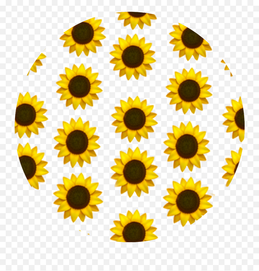 V3 - Aesthetic Sunflower Transparent Background Emoji,Sunflower Emoji