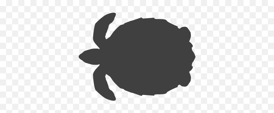 The Best Free Turtle Icon Images Download From 160 Free - Endangered Species In Png Emoji,Google Turtle Emoji
