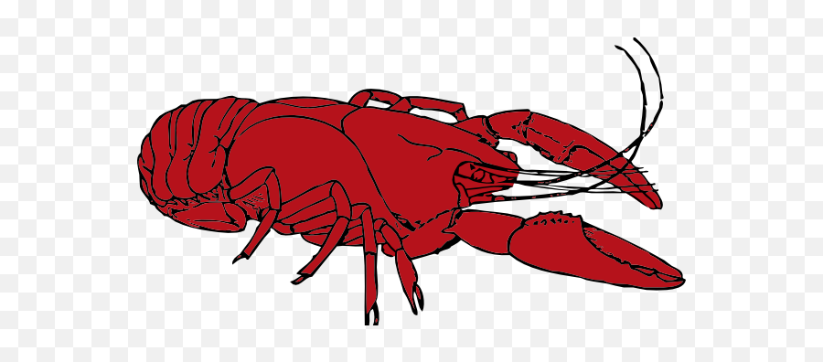 Free Crayfish Clipart Download Free Clip Art Free Clip Art - Crayfish Clip Art Emoji,Crawfish Emoji