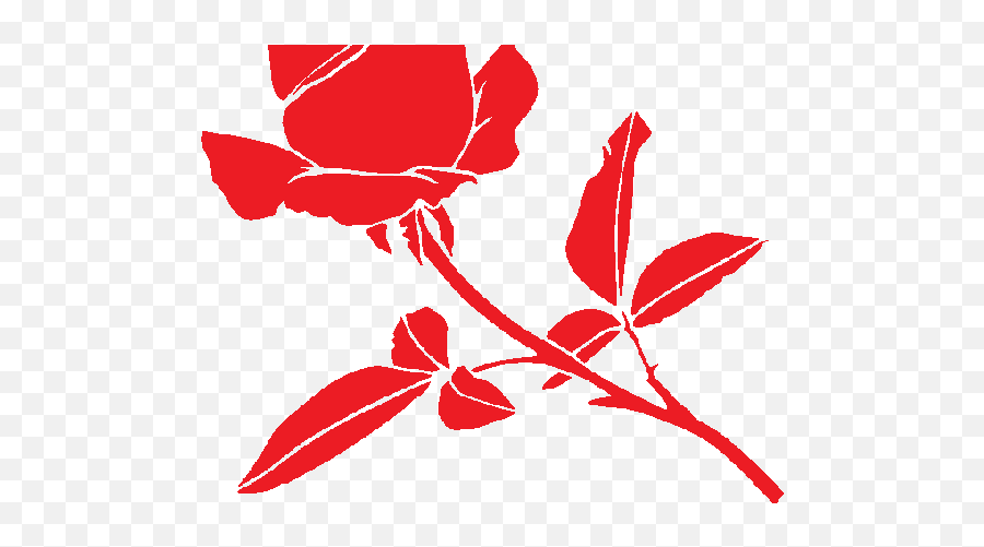 Pin On Pictur I Poze N Natur Animated Rose Flower Images - Floral Emoji,Black Rose Emoji
