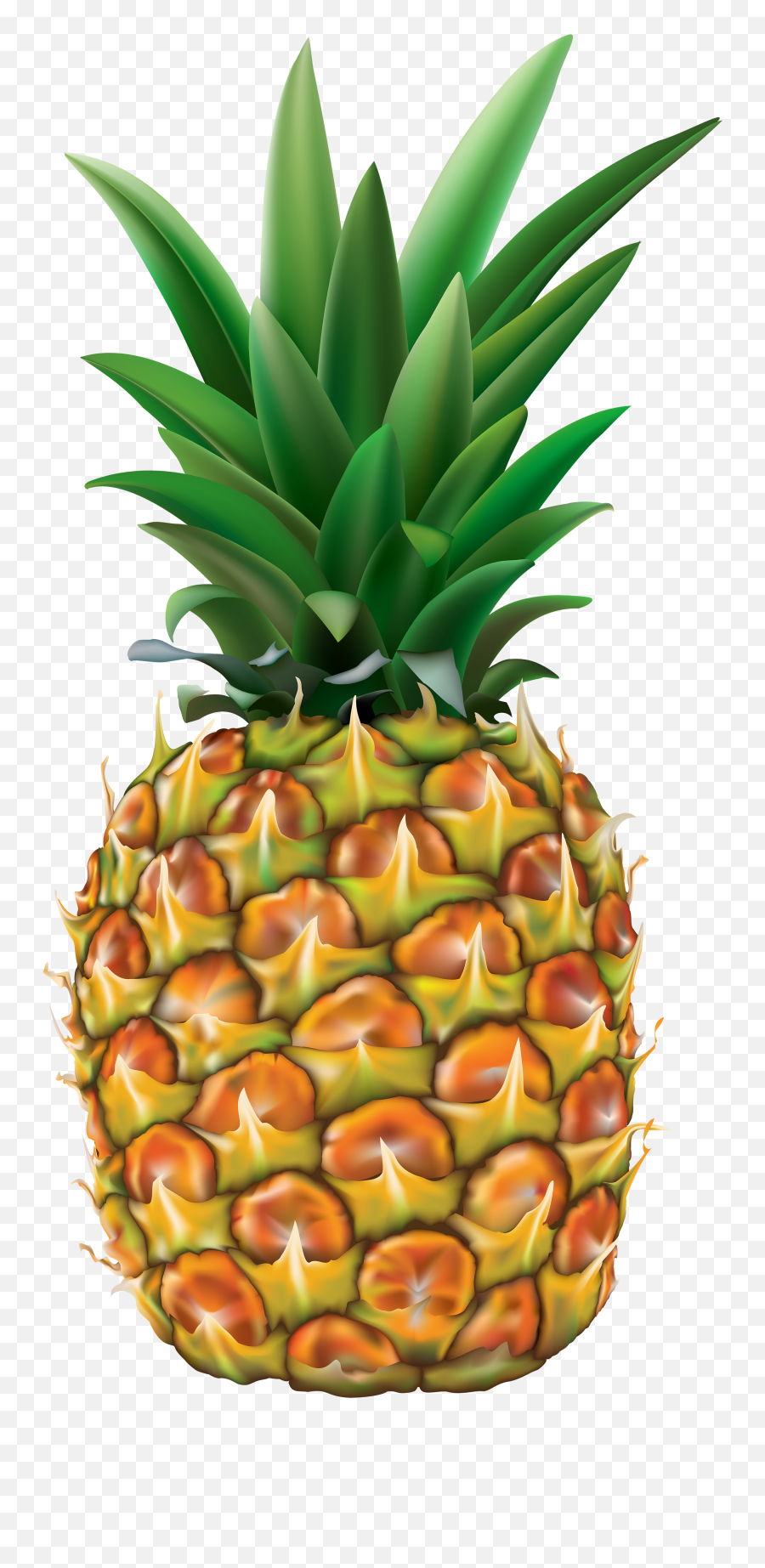 Pineapple Fruit Transparent Png Images Free Download - Free Transparent Pineapple Clipart Emoji,Pineapple Emoji Png