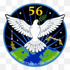 Iss Expedition 56 Patch - Iss Expedition 56 Patch Emoji,Strong Arm Emoji Png