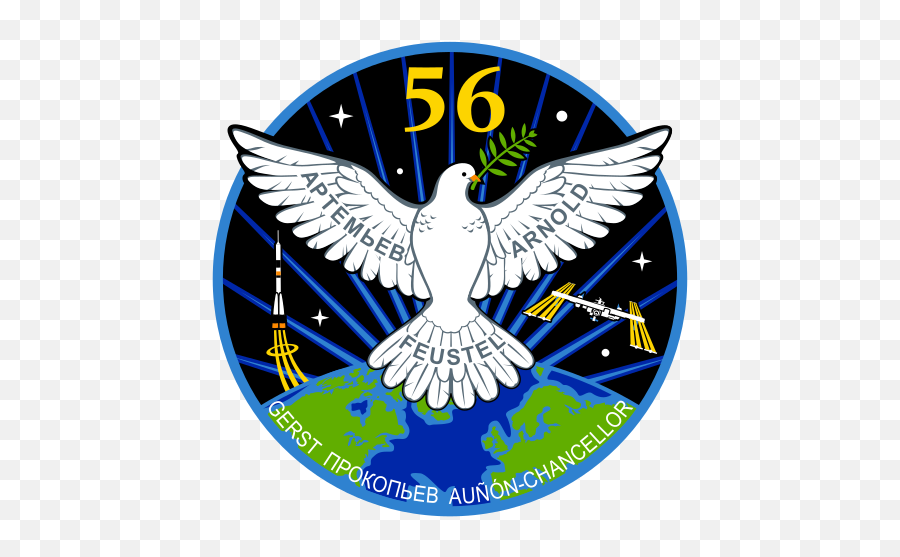 Iss Expedition 56 Patch - Iss Expedition 56 Patch Emoji,Strong Arm Emoji Png