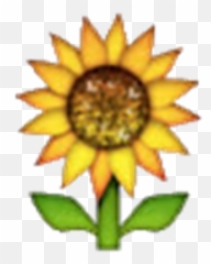 Sunflower Emoji - Transparent Background Sunflower Emoji,Sunflower Emoji