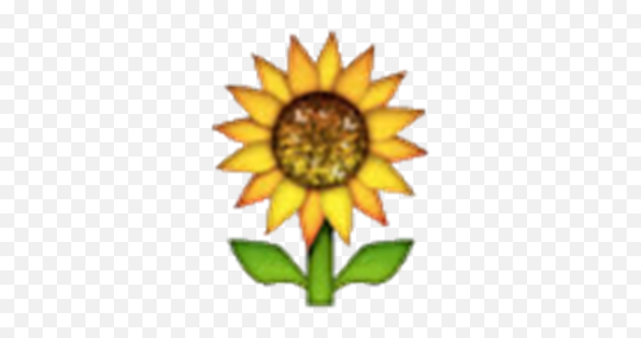 Sunflower Emoji - Transparent Background Sunflower Emoji,Sunflower Emoji