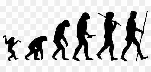Human Evolution Scheme - Transparent Png Emoji