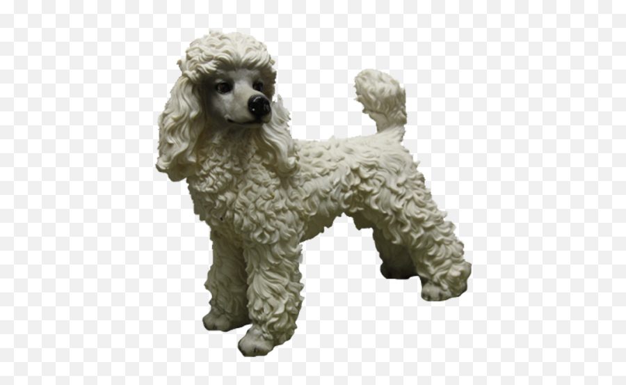 Standard Poodle Miniature Poodle Toy Poodle Puppy - Puppy Toy Poodle Emoji,Poodle Emoji