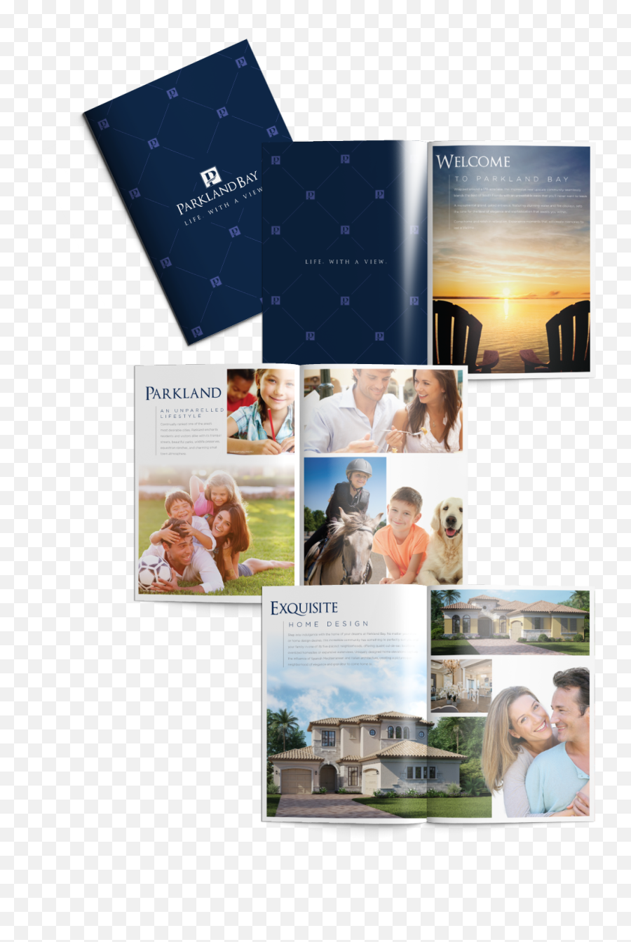 Parkland Bay - Peak Seven Advertising Florida Ad Agency Brochure Emoji,Hannukah Emoji