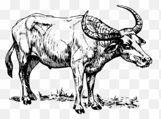 Buffalo Line Art Emoji