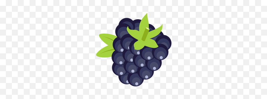 Fruta De Blackberry - Blackberry Fruit Clipart Emoji,Grape Emoji