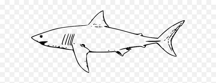 Vector Sharks Shark Fin Transparent - Shark Black And White Clipart Emoji,Shark Fin Emoji